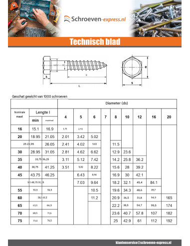 1 x Houtdraadbouten RVS A2 8X40