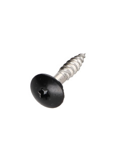 Gevelschroef TORX T20 4.8X25 kopdiameter 12.3 RVS A2...