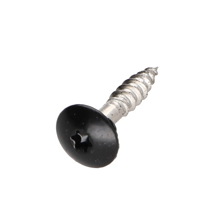 1 x Gevelschroef TORX T20 4.8X25 kopdiameter 12.3 RVS A2 RAL9005 donker zwart