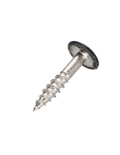 Gevelschroef TORX T20 4.8X25 kopdiameter 12.3 RVS A2... 2
