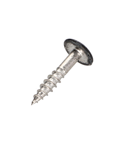 1 x Gevelschroef TORX T20 4.8X25 kopdiameter...