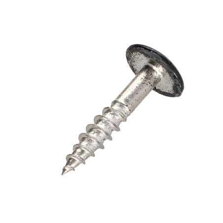 1 x Gevelschroef TORX T20 4.8X25 kopdiameter 12.3 RVS A2 RAL9005 donker zwart