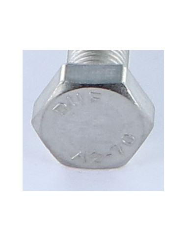 1 x Metalen schroeven zeskantkop TH M10X100...