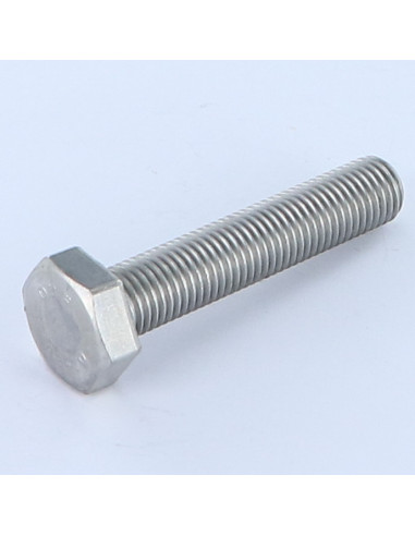 1 x Metalen schroeven zeskantkop TH M10X30...