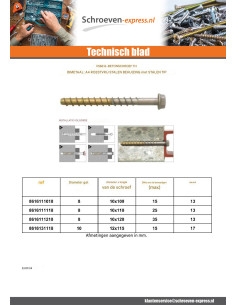 Schroeven Beton Bimetaal A4 RVS Ruw staal zeskantkop TH... 2
