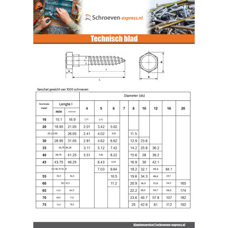 1 x Houtdraadbouten RVS A2 8X30