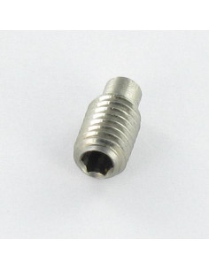 Metalen schroeven RVS A2 zonder kop zeshoekig hol M12X25... 2