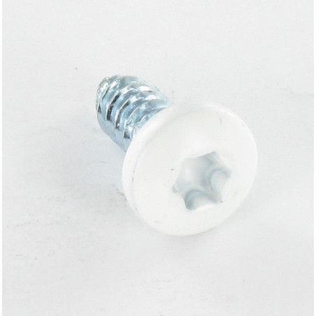 1 x Metaalplaatschroef cilindrische kop kartel 6.3X16 TORX T30 Wit verzinkt staal RAL9016 verkeerswit