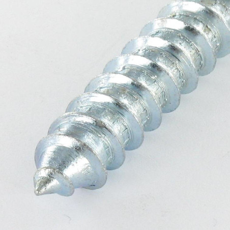 1 x Houtschroeven en metalen 10X120 Klasse 8.8 +PLAT Wit verzinkt staal
