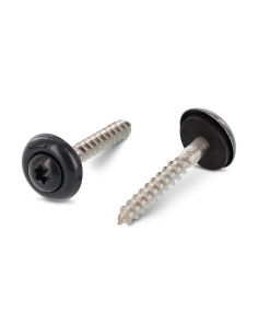 Nokschroef gefreesde bolkop TORX T20 RVS A2 RAL7016...