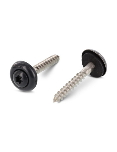 1 x Nokschroef gefreesde bolkop TORX T20 RVS A2...