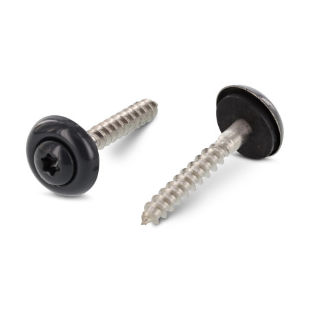 1 x Nokschroef gefreesde bolkop TORX T20 RVS A2 RAL7016 antraciet grijs 4,5X35 Afdichtingsring met neopreen epdm