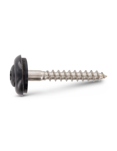 1 x Nokschroef gefreesde bolkop TORX T20 RVS A2...