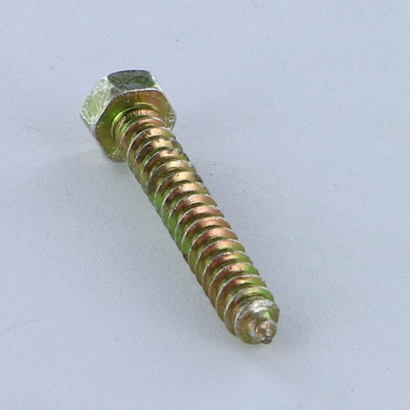1 x Metaalplaatschroef zeskantkop TH 3,5X25 Bichromaat