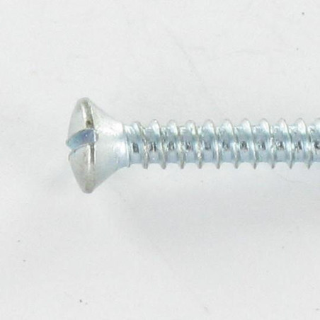 1 x Metaalplaatschroef gefreesde bolkop split 2.9X16 Wit verzinkt staal