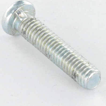1 x Metalen schroeven cilindrische kop ongesplitst M6X28 1 Moederkoorn Wit verzinkt staal