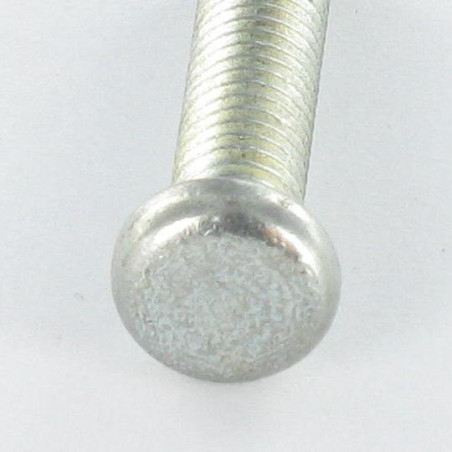 1 x Metalen schroeven cilindrische kop ongesplitst M6X28 1 Moederkoorn Wit verzinkt staal