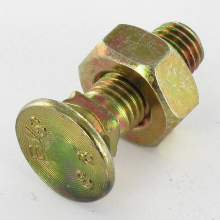 1 x Ploegbout gefreesde kop vierkante hals M10X25 Klasse 8.8 Bichromaat