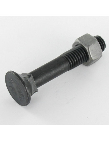 1 x Ploegbout gefreesde kop vierkante hals...