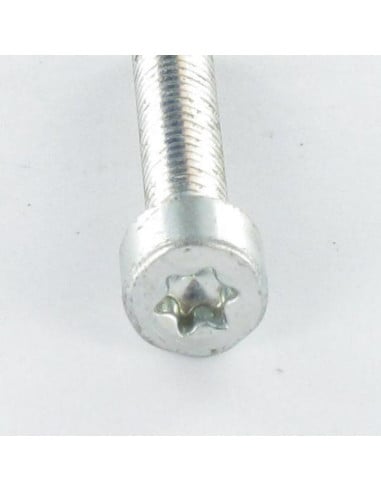 1 x Zelftappende schroef cilindrische kop M6X16...