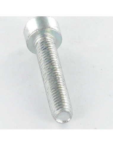 1 x Zelftappende schroef cilindrische kop M6X16...
