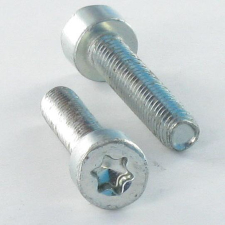 1 x Zelftappende schroef cilindrische kop M4X25 TORX T20 Wit verzinkt staal