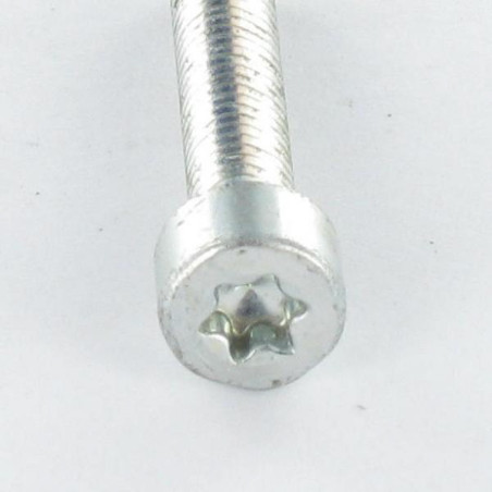1 x Zelftappende schroef cilindrische kop M4X25 TORX T20 Wit verzinkt staal