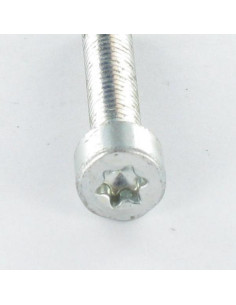 Zelftappende schroef cilindrische kop M4X20 TORX T20 Wit... 2