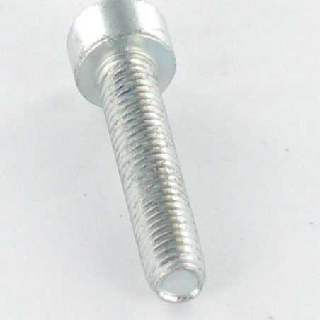 1 x Zelftappende schroef cilindrische kop M4X12 TORX T20 Wit verzinkt staal