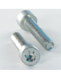 Zelftappende schroef cilindrische kop M4X10 TORX T20 Wit...