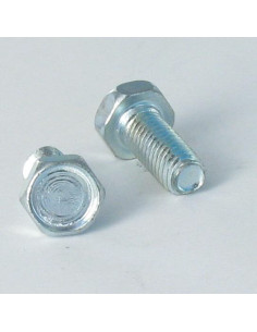 Zelftappende schroef zeskantboutenTH M5X12 Wit verzinkt...