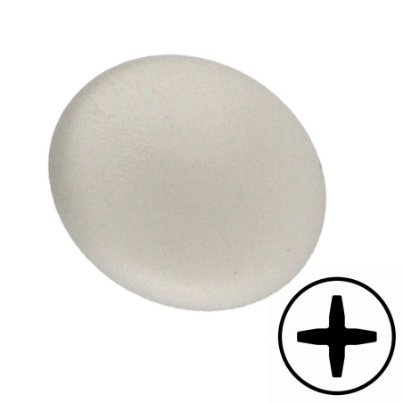 Schroefkopafdekking plastic Phillips 2